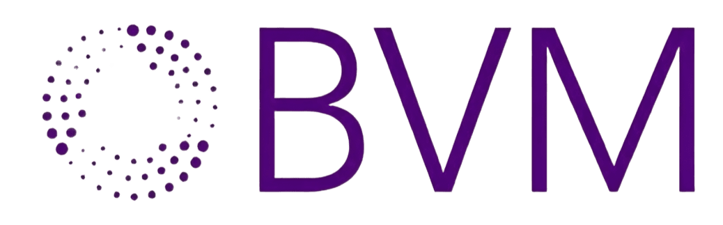 Brazos Valley Marketing Logo